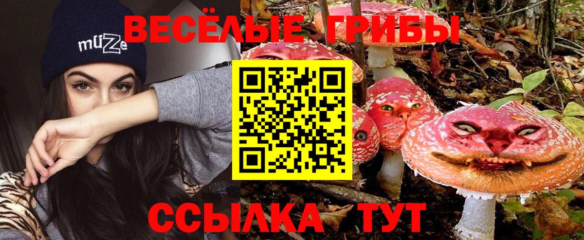 Галлюциногенные грибы мицелий Лесосибирск