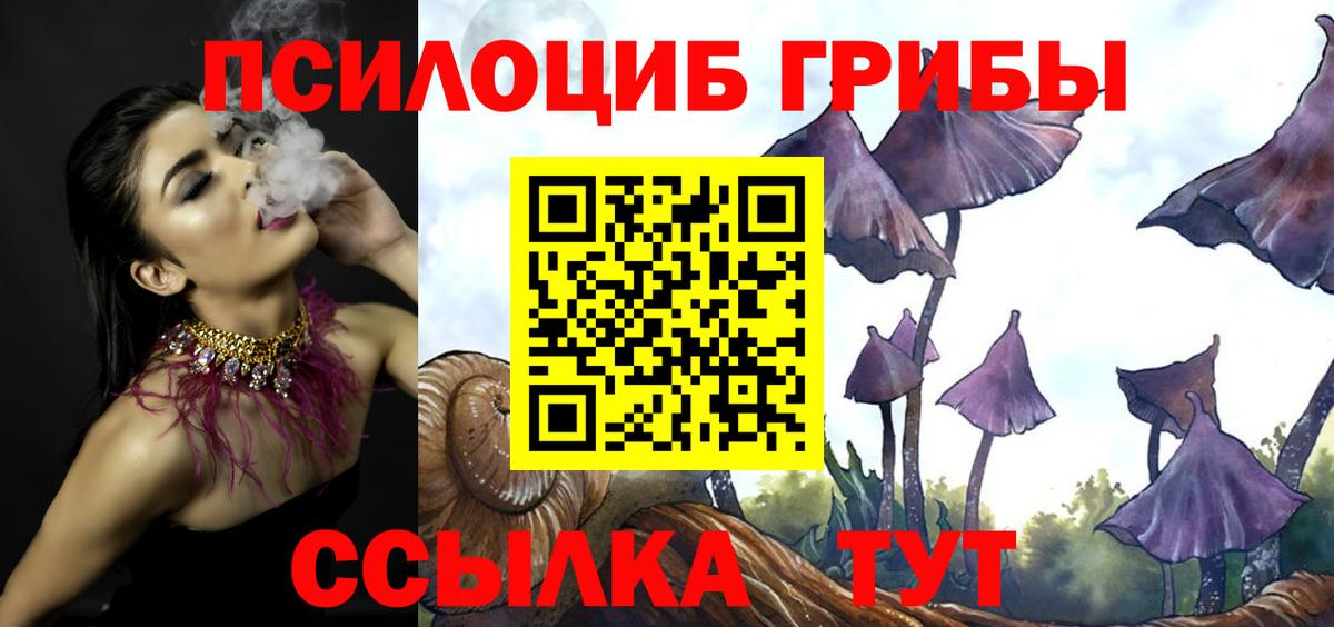 Лесосибирск  Галлюциногенные грибы GOLDEN TEACHER  Псилоцибиновые грибы Psilocybe  Вход с VPN 